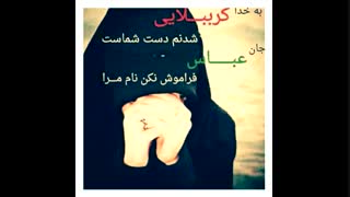 کربلا میخواهم