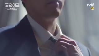 دانلود تمام قسمت های سریال The Good Wife با زیرنویس فارسی