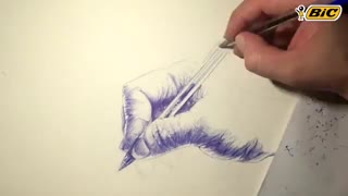 نقاشی با خودکار بیک قسمت پنجم