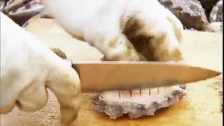 سریال کره ای لی سون شین بهترینه Lee Soon Shin is the Best - قسمت  38