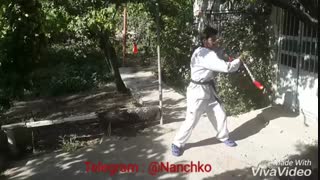 بهترین حرکات نانچیکو