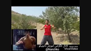 حرکات بروسلی