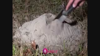 مجسمه آلومینیومی بسازیم