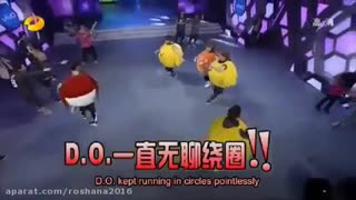 پرندگان اکسو