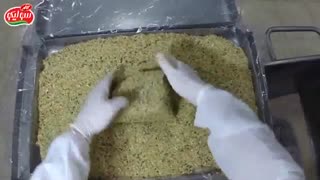 خط تولید ژامبون گوشت پرنس سولیکو از نگاه دوربین GoPro