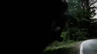 تریلر فیلم A Cure for Wellness