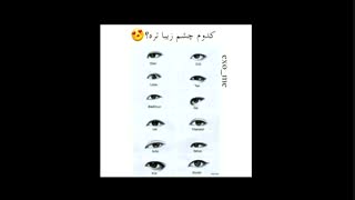 همه اکسو الا بگن