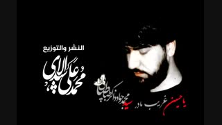 سید جواد ذاکر