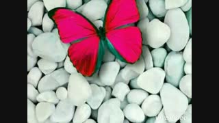 هر لقبی دوس دارید برام بزارید ♥