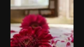 مرثیه ای برای نبودن: شعر بتول مبشری با آوای زری مینویی