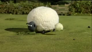 بره ناقلا قسمت 1