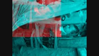 برای جستن شادی : شعر، رضا افضلی با آوای رزی مینویی