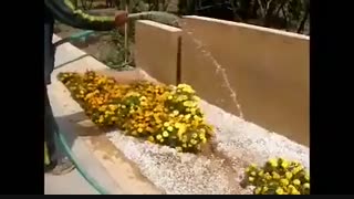 برسی پوشش مقاوم کاهگلی ضد آب از آزمون تا واقعیت