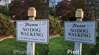 مقایسه کامل دوربین گوگل پیکسل و آیفون 7