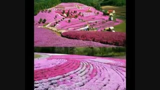 بخند تا دنیا به روت بخنده(اولین ویدیو کانالم)