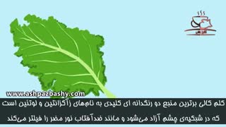 فیلم سلامتی : این غذاها را بخورید تا بهتر ببینید