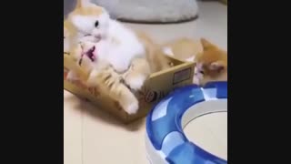 سلام بچه ها خیلی دلم براتون تنگ شده و۱۰۰۰تا ویدیو افتاده رودستم چند روز نبودمو مدت  طولانی هم نیستم  توضیحات لطفا