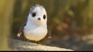 انیمیشن کوتاه جوجه کوچولو Piper.2016