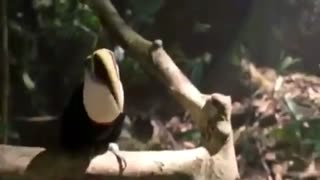مایکل جکسون earth song بازیرنویس فارسی