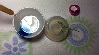 گردنبند گل طبیعی ۱