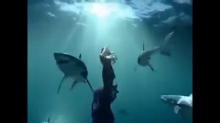 سریال کره ای افسانه دریای ابی - The Legend of The Blue Sea