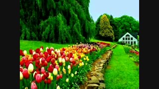 ِِمی    عاشقانه..تلگرام damarmuzik@