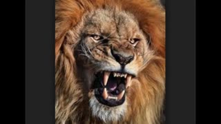 آهنگ RIGHT ROUNDدر خواستی آقا عرفان