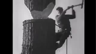 الان درختان خودشون میخوان قطع بشن و به زمین بیوفتند