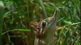 مستند قلمروهای پنهان قسمت اول (دوبله فارسی)