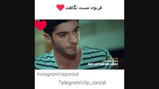 عشق حرف حساب حالیش نیس