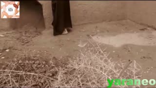 کلیپ تصویری نوحه ترکی حضرت رقیه (س)_بئله گل رقیه بیلمسین_ ویژه همایش نوگل سه ساله کربلا، حضرت رقیه (س) خیریه یاران مهر اوجان