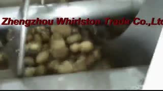 گیاهان دارویی