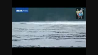 برخورد با نهگ
