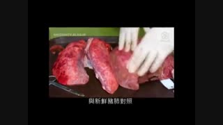 آزمایشی هولناک از اثر مخرب سیگار بر ریه انسان