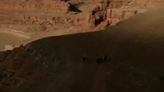 west world