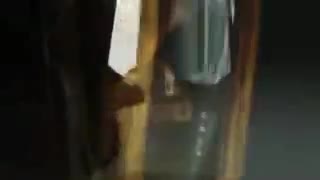 عطر زرجوف/عطر لوکس بایر