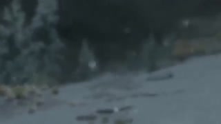 معرفی مد اسکایریم : Wet and Cold (سرد و خیس)