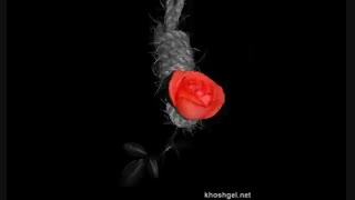 سلام بچه ها خوبین؟............توضیحات