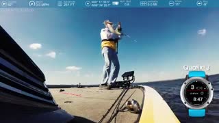 تعداد ماهی های گرفته شده با ساعت کواتیکس 3