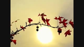 بچه های پشت باران : شعر از مظفر امینی با صدای اصغر معینی