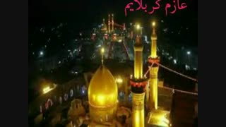 بچه ها دارم میرم کربلا