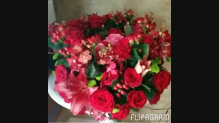 گلهای زیبا تقدیم به دوستان نماشایی ام