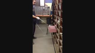 غذا دادن به مار های وحشی