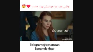 وقتی همه جا حواسش بهت هس (دفنه وعمر)