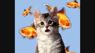 مزاحم تلفنی