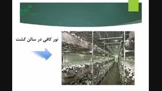 پرورش قارچ را چگونه انجام دهیم؟ قسمت دوم