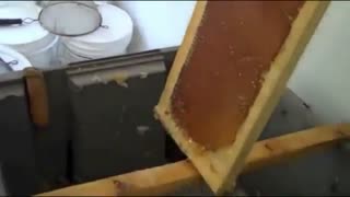 کارهای عجیب و حرفه ای که هر کسی نمیتونه انجام بده