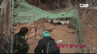 برنامه خنده دارharvest tripباحضور گروهJYJ-پارت2(با زیرنویس فارسی)