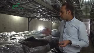 پرورش قارچ را چگونه انجام دهیم؟ قسمت سوم