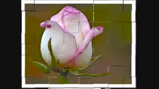 شعر زیبا و دلنشین گیلکی فوخوس ... زنده یاد شیون فومنی